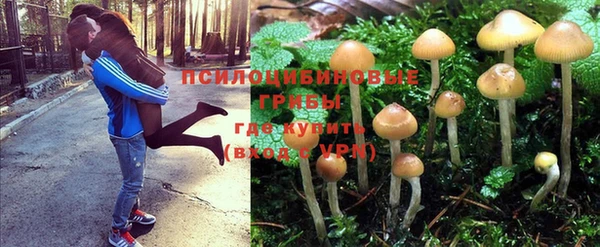 МДПВ Бронницы