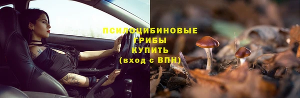 МДПВ Бронницы