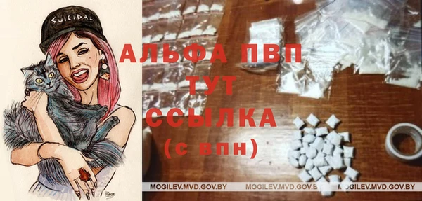 МДПВ Бронницы