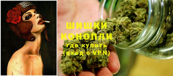 МДПВ Бронницы