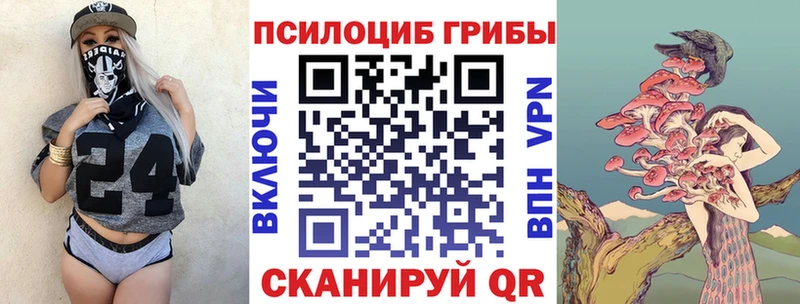 где купить наркотик  Гусев  Галлюциногенные грибы MAGIC MUSHROOMS 
